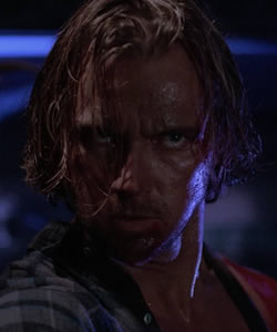 Campbell (Researcher)